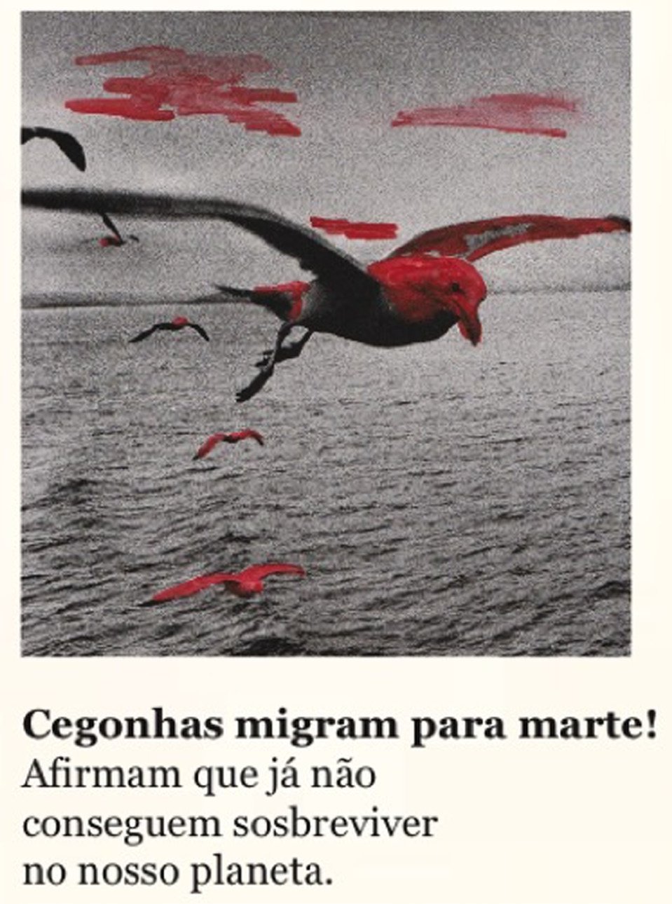 Fotografia de aves sobre o mar pintadas de vermelho com o título Cegonhas migram para Marte